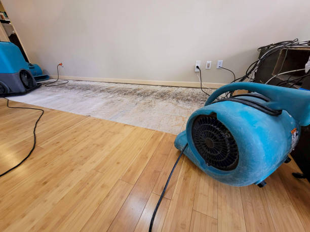 Professional Water Extraction technician working in Casstown, OH